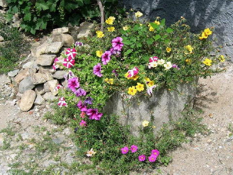 bild006