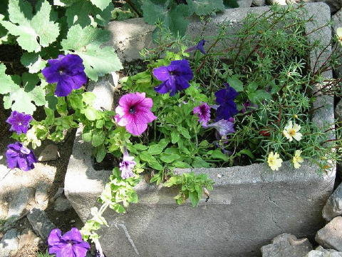 bild008