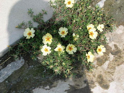 bild009