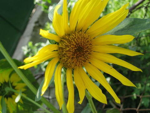 bild010