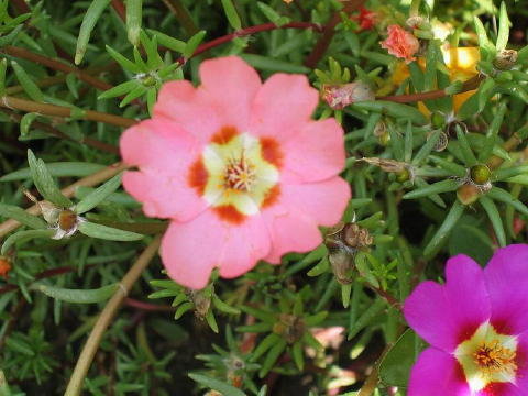 bild011