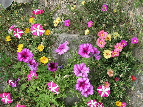 bild012