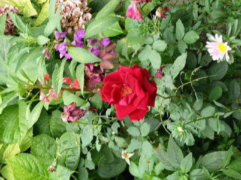 bild013