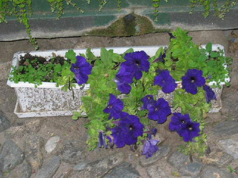 bild014