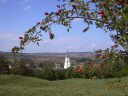 Urwegen Herbst 2004 von Michael Depner