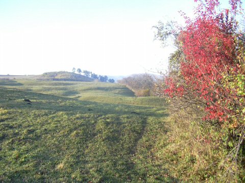Herbst-12