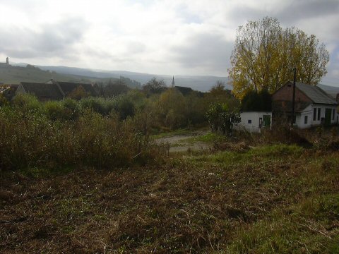 Herbst-13