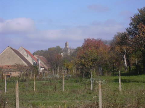 Herbst-15