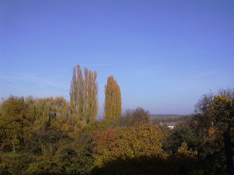 Herbst-41