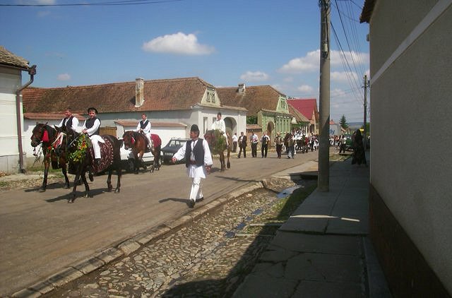 dcp_2374.jpg
