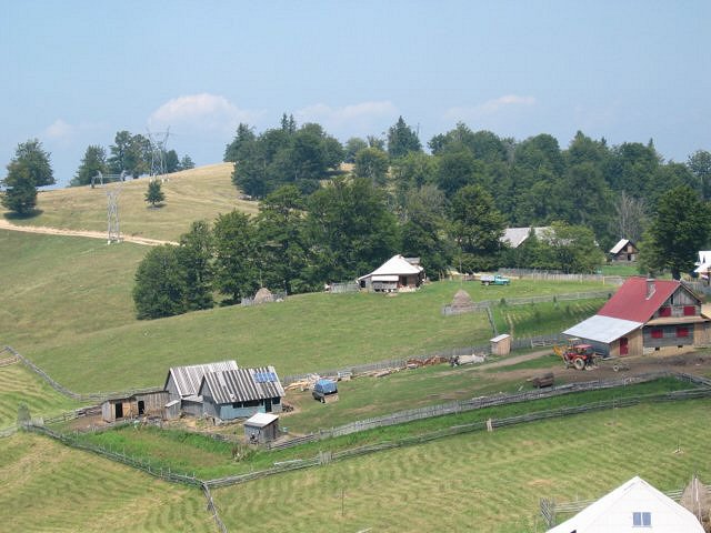 img_7090.jpg