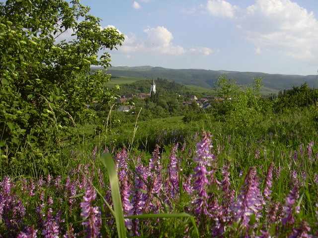 DSCN0012a
