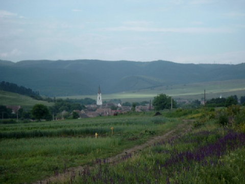 Urwegen von der Reußmerkter Strasse gesehn