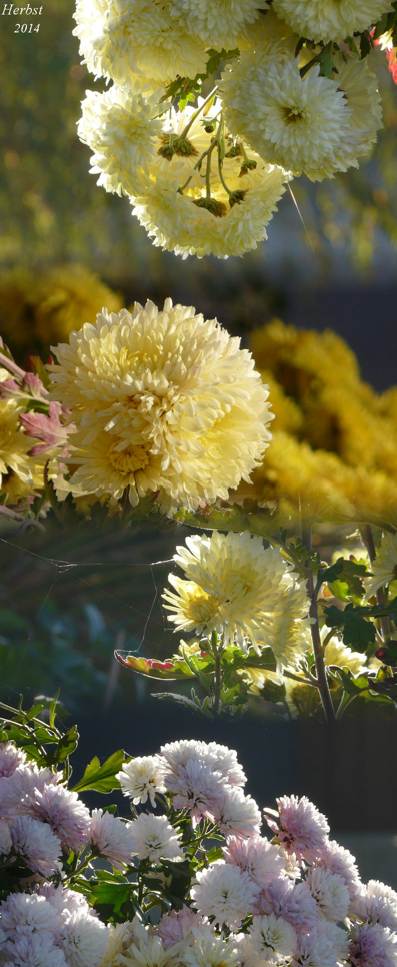 Herbst 2014