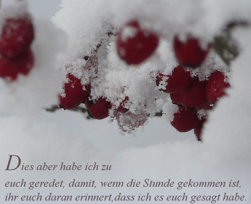 Ho-Jan21